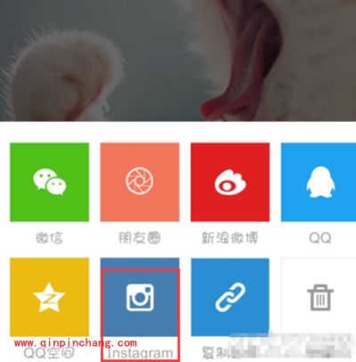 nice自定义保存图片教程