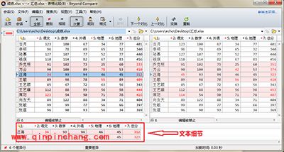 Beyond Compare隐藏文本细节小技巧