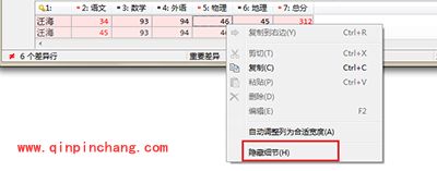 Beyond Compare隐藏文本细节小技巧