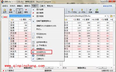 Beyond Compare隐藏文本细节小技巧