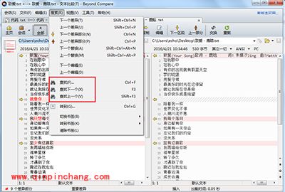 Beyond Compare精确查找文本内容方法