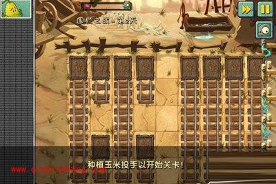 植物大战僵尸2：西部围栏第二天通关诀窍