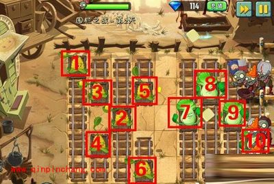 植物大战僵尸2：西部围栏第二天通关诀窍