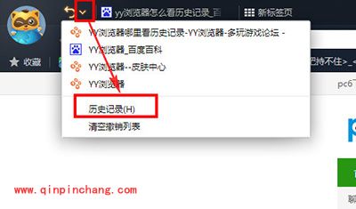 yy浏览器查看历史记录图文步骤