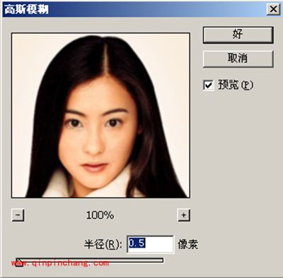 PS模糊滤镜的使用方法图解