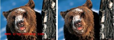 PS模糊滤镜的使用方法图解