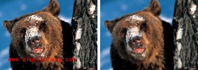 PS模糊滤镜的使用方法图解