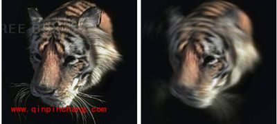 PS模糊滤镜的使用方法图解