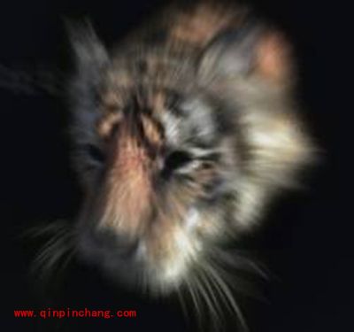 PS模糊滤镜的使用方法图解