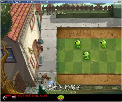 最火爆的《植物大战僵尸2》PC版安装攻略