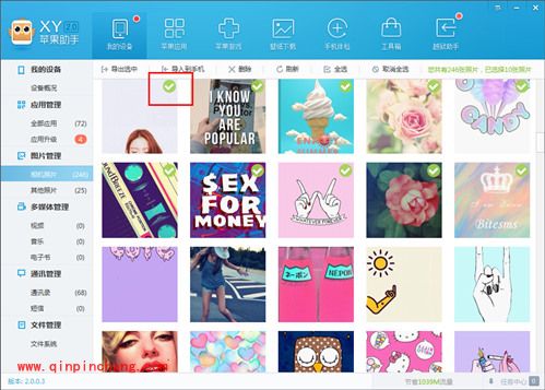 还果粉一个清净世界 管理照片XY苹果助手有高招