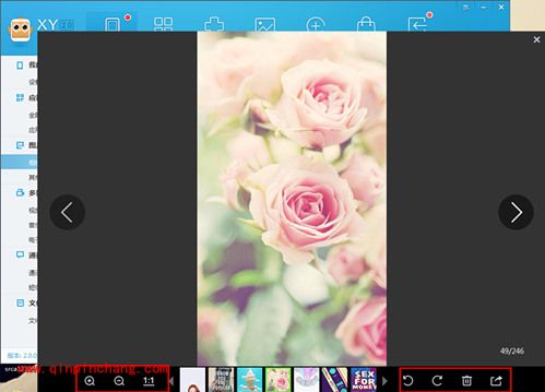 还果粉一个清净世界 管理照片XY苹果助手有高招