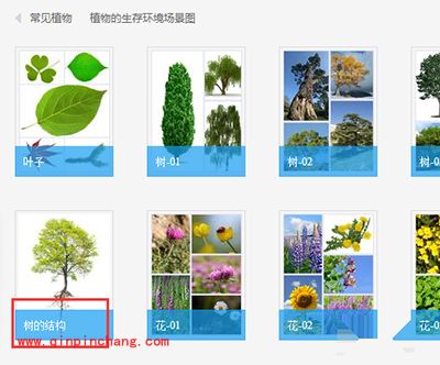 翻译软件有道词典怎么进行图解