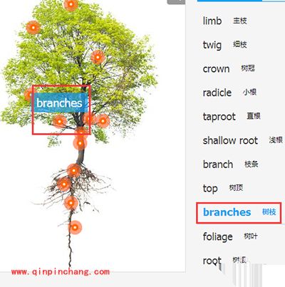 翻译软件有道词典怎么进行图解