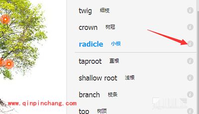 翻译软件有道词典怎么进行图解