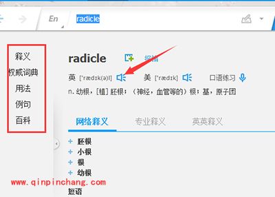 翻译软件有道词典怎么进行图解