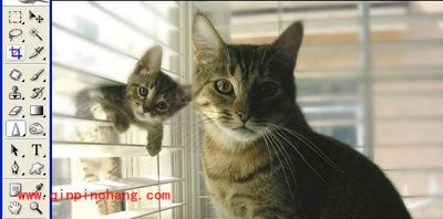 PS模糊锐化和涂抹工具技巧