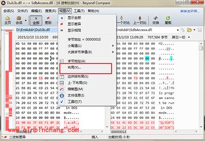 Beyond Compare十六进制比较布局设置方法