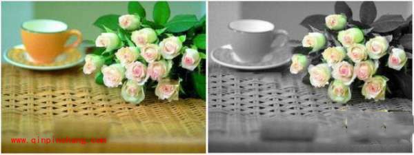 iSee图片专家:三种方法让你成功&ldquo;抢镜&rdquo;