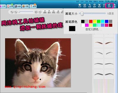 小猫也疯狂！美图秀秀轻松帮你打造动物恶搞照片