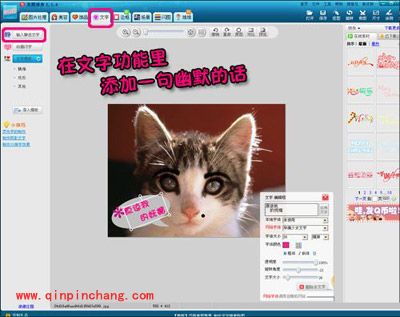 小猫也疯狂！美图秀秀轻松帮你打造动物恶搞照片