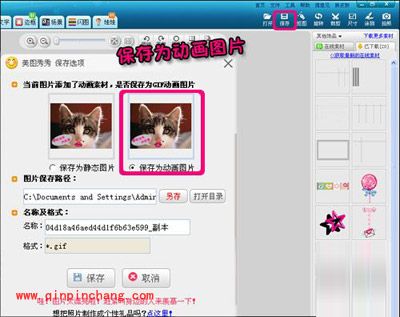 小猫也疯狂!美图秀秀轻松帮你打造动物恶搞照片