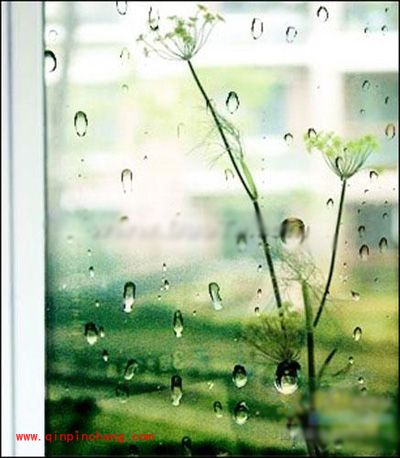 美图秀秀制作LOMO雨滴图片