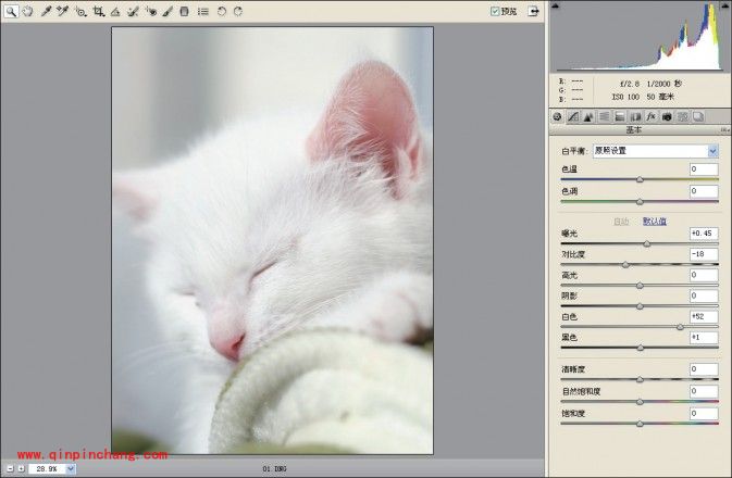 结合颜色的调整使PS轻松锐出猫咪的毛发