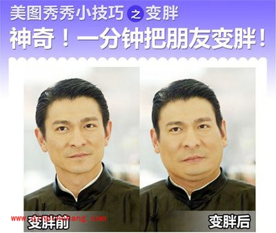 美图秀秀变脸功能 刘德华再成胖子
