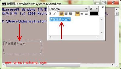 PicPick给图片添加文字说明的方法