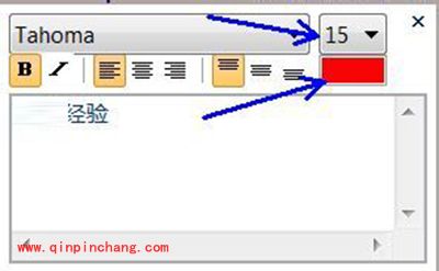 PicPick给图片添加文字说明的方法