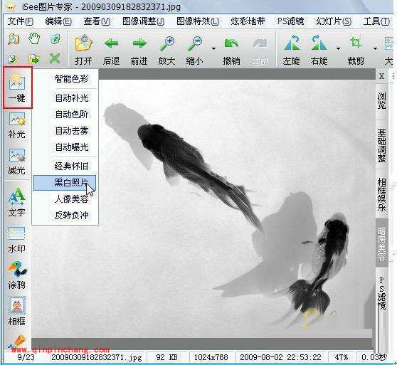 iSee图片专家制作水墨画的方法介绍