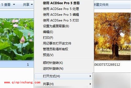 看图软件ACDSee快速浏览图片文件夹方法