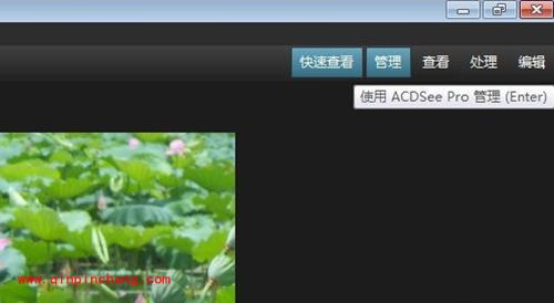看图软件ACDSee快速浏览图片文件夹方法
