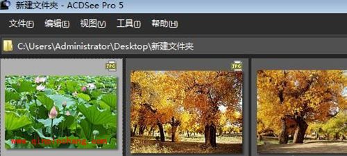 看图软件ACDSee快速浏览图片文件夹方法