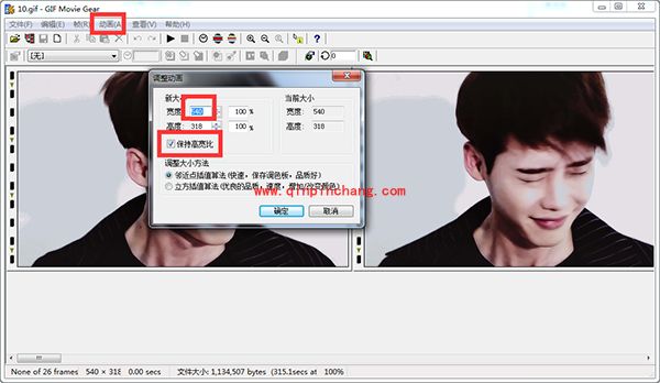 GIF Movie Gear修改gif图片尺寸大小的方法