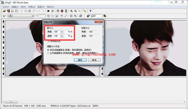 GIF Movie Gear修改gif图片尺寸大小的方法