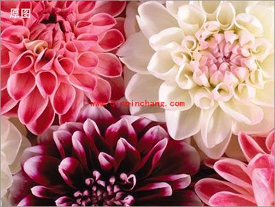 彩影怎么做出黑白颗粒效果