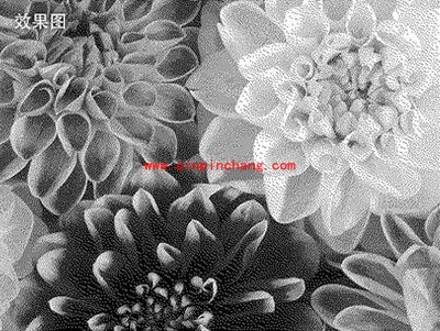 彩影怎么做出黑白颗粒效果