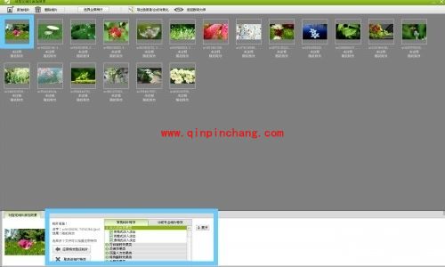 电子相册制作软件数码大师使用教程