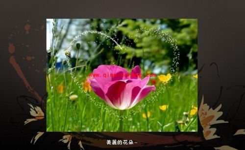 电子相册制作软件数码大师使用教程