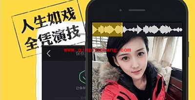 小咖秀没有字幕怎么办