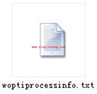 Windows优化大师Wopti进程管理大师怎么使用