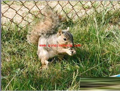 用photoshop修正曝光过度照片的教程