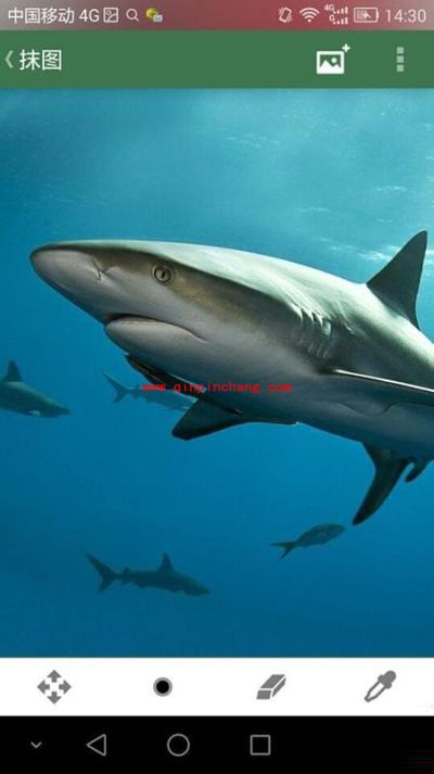 将脸P成金馆长的脸的图文步骤