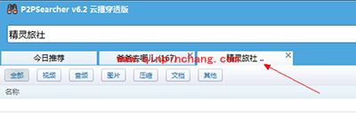 P2PSearcher6.2版使用说明详解