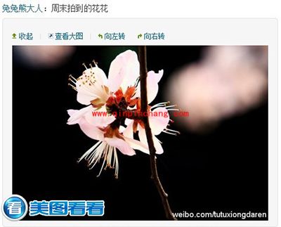 精彩瞬间齐分享!美图看看一键上传踏青照片