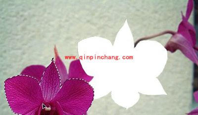 photoshop移动工具介绍