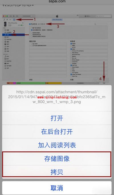 Safari浏览器手机版的功能介绍与使用技巧
