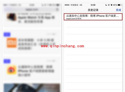 Safari浏览器手机版的功能介绍与使用技巧
